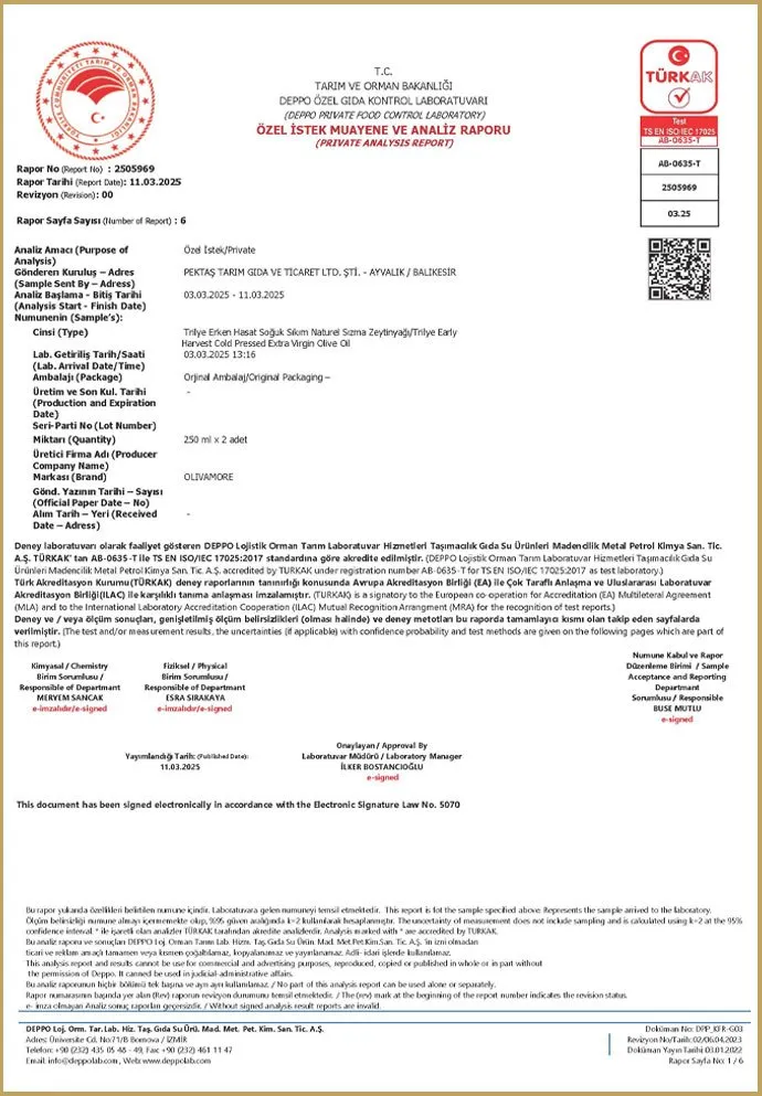 DEPPO inspection and analysis report